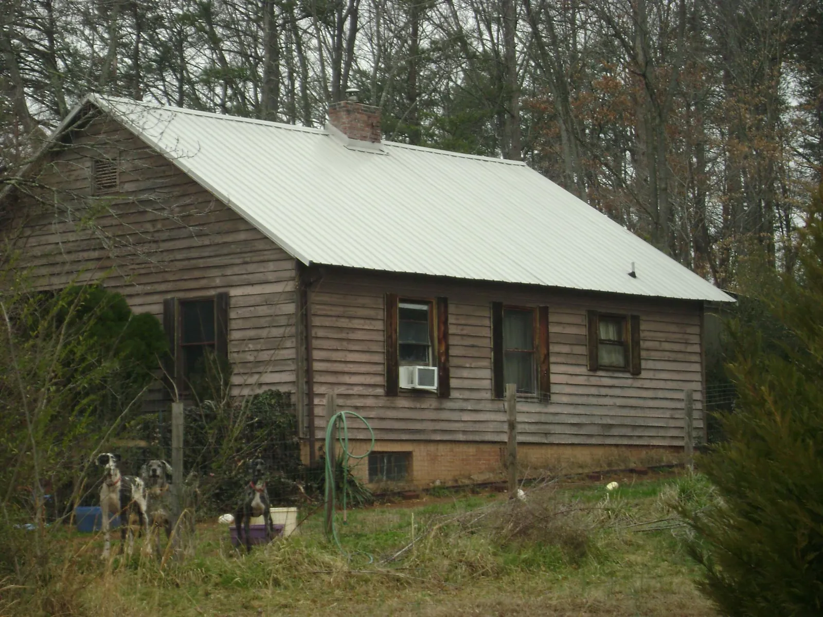 White metal roof on an old wood sided farmhouse, from a Asphalt Shingle Roof Repair job in West Newbury